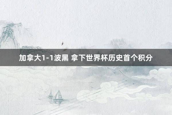 加拿大1-1波黑 拿下世界杯历史首个积分
