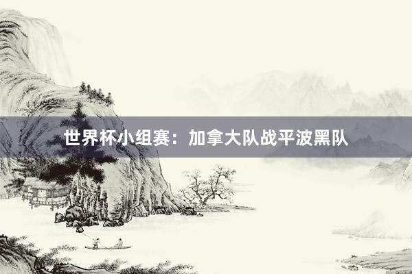 世界杯小组赛：加拿大队战平波黑队