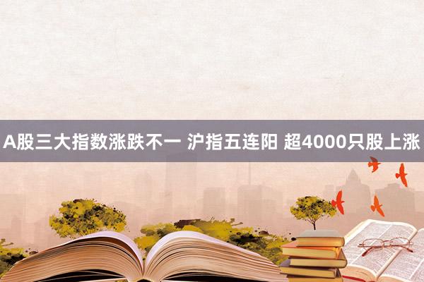 A股三大指数涨跌不一 沪指五连阳 超4000只股上涨