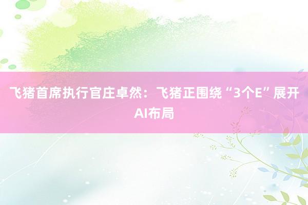 飞猪首席执行官庄卓然：飞猪正围绕“3个E”展开AI布局