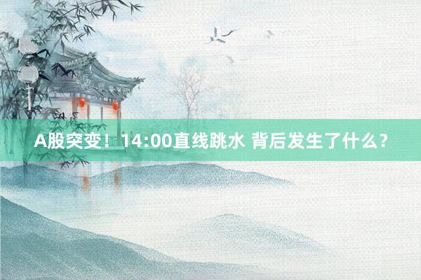 A股突变！14:00直线跳水 背后发生了什么？