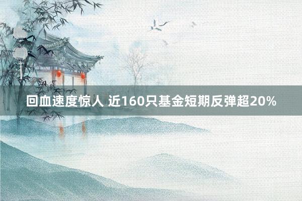 回血速度惊人 近160只基金短期反弹超20%