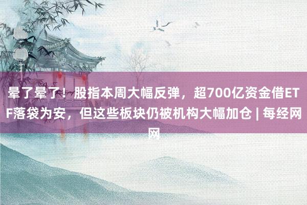晕了晕了！股指本周大幅反弹，超700亿资金借ETF落袋为安，但这些板块仍被机构大幅加仓 | 每经网
