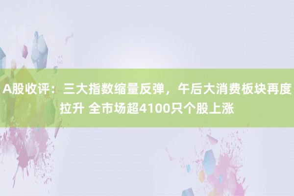 A股收评：三大指数缩量反弹，午后大消费板块再度拉升 全市场超4100只个股上涨