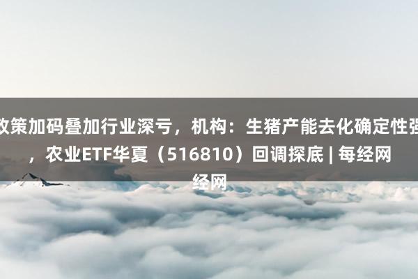 政策加码叠加行业深亏,机构:生猪产能去化确定性强,农业ETF华夏(516810)回调探底 | 每经网