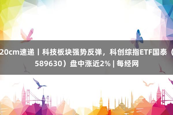 20cm速递丨科技板块强势反弹，科创综指ETF国泰（589630）盘中涨近2% | 每经网