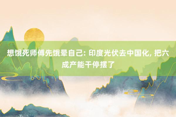 想饿死师傅先饿晕自己: 印度光伏去中国化, 把六成产能干停摆了
