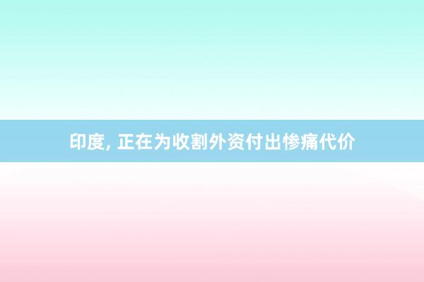印度, 正在为收割外资付出惨痛代价