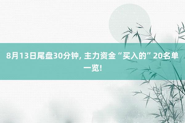 8月13日尾盘30分钟, 主力资金“买入的”20名单一览!