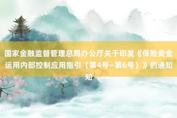 国家金融监督管理总局办公厅关于印发《保险资金运用内部控制应用指引（第4号—第6号）》的通知