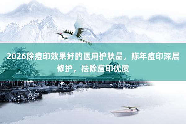 2026除痘印效果好的医用护肤品，陈年痘印深层修护，祛除痘印优质