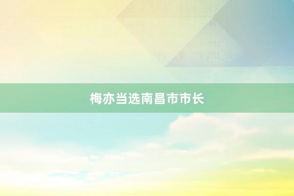 梅亦当选南昌市市长
