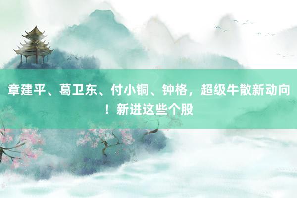 章建平、葛卫东、付小铜、钟格，超级牛散新动向！新进这些个股