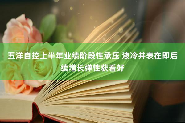 五洋自控上半年业绩阶段性承压 液冷并表在即后续增长弹性获看好