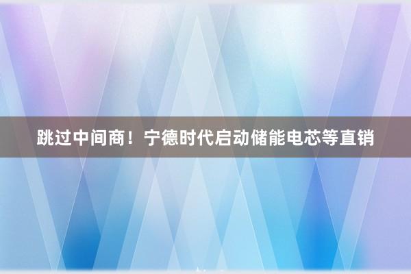 跳过中间商！宁德时代启动储能电芯等直销