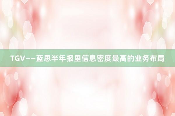 TGV——蓝思半年报里信息密度最高的业务布局
