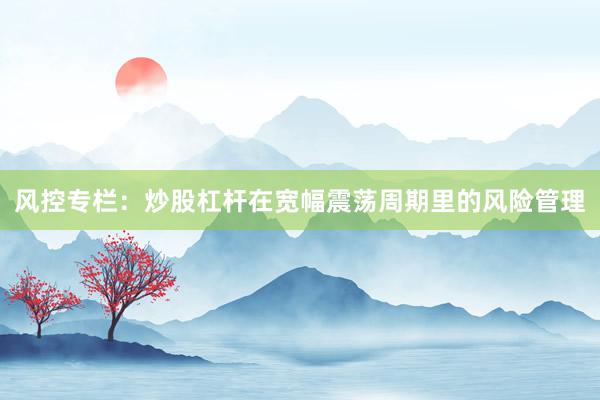 风控专栏：炒股杠杆在宽幅震荡周期里的风险管理
