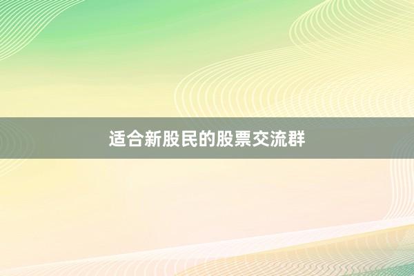 适合新股民的股票交流群