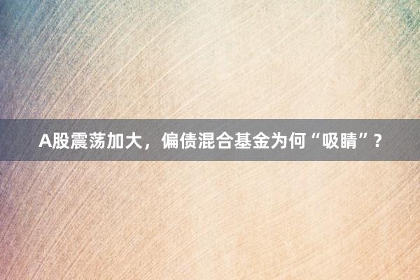 A股震荡加大，偏债混合基金为何“吸睛”？