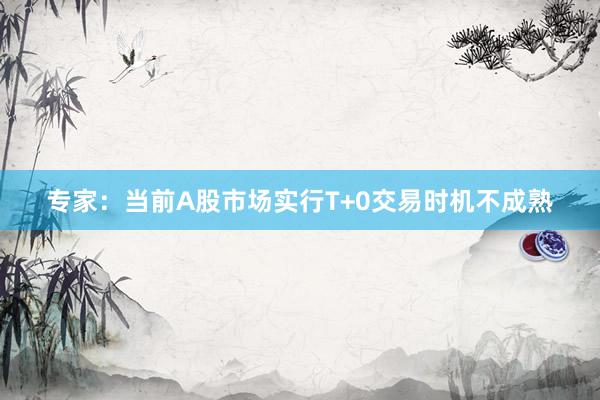 专家：当前A股市场实行T+0交易时机不成熟