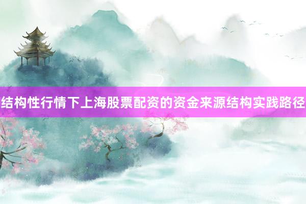 结构性行情下上海股票配资的资金来源结构实践路径