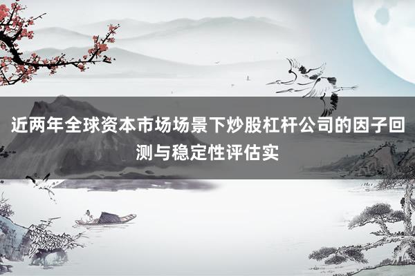 近两年全球资本市场场景下炒股杠杆公司的因子回测与稳定性评估实