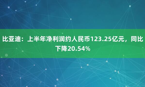 比亚迪:上半年净利润约人民币123.25亿元,同比下降20.54%