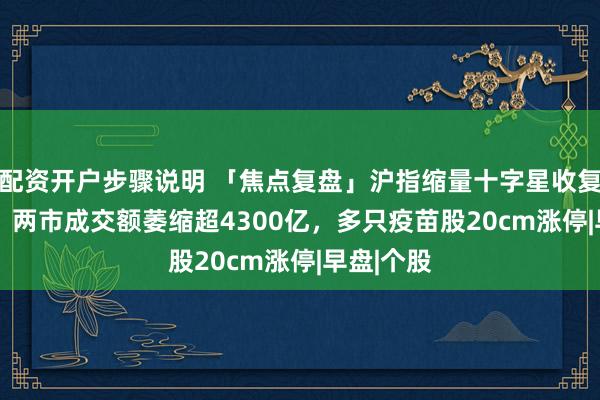 配资开户步骤说明 「焦点复盘」沪指缩量十字星收复3900点，两市成交额萎缩超4300亿，多只疫苗股20cm涨停|早盘|个股