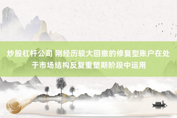 炒股杠杆公司 刚经历较大回撤的修复型账户在处于市场结构反复重塑期阶段中运用