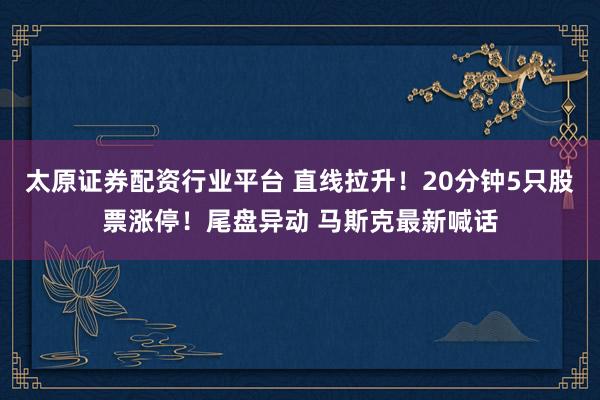 太原证券配资行业平台 直线拉升！20分钟5只股票涨停！尾盘异动 马斯克最新喊话