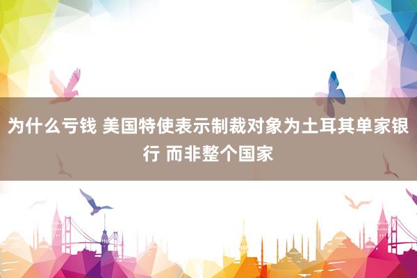 为什么亏钱 美国特使表示制裁对象为土耳其单家银行 而非整个国家